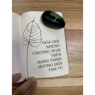 Sách - Tâm Từ (Tái Bản )