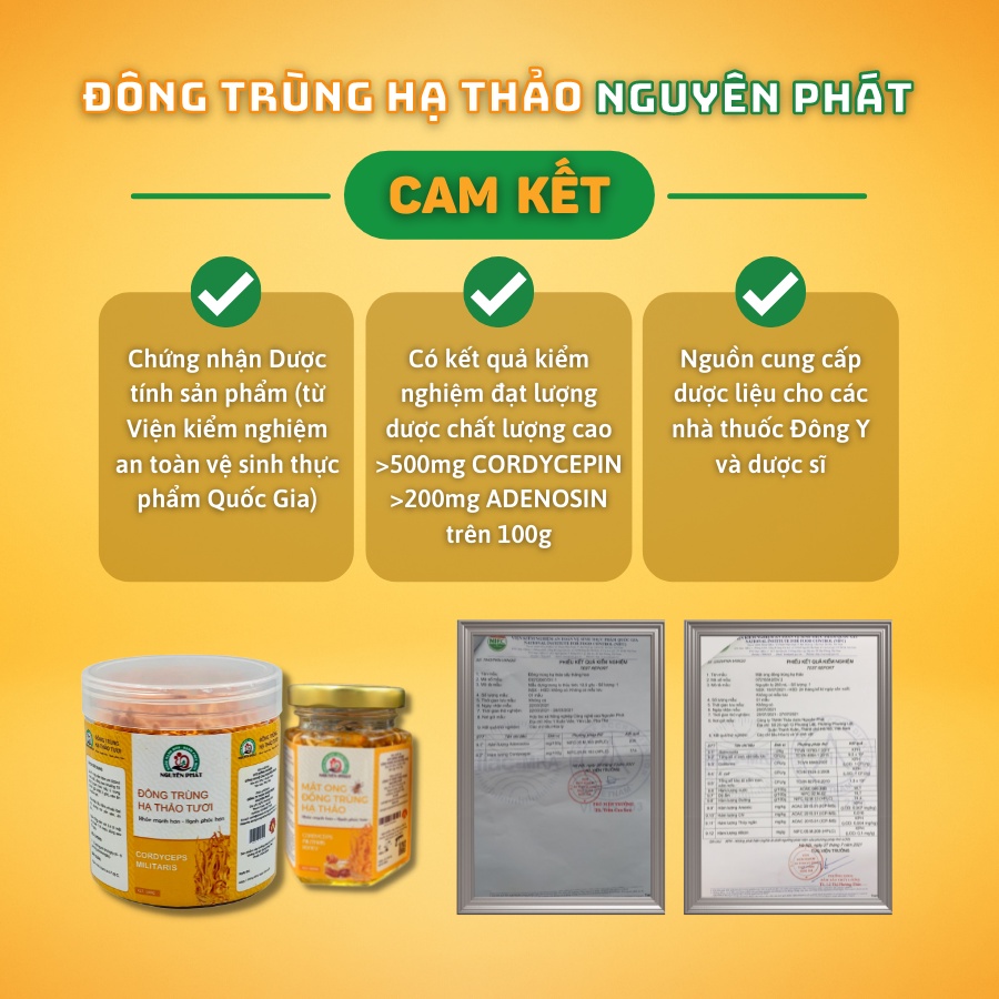 Mua 2 tặng 1 tỏi đen - Hộp cao cấp combo 2 lọ Đông trùng hạ thảo sấy thăng hoa thượng hạng Nguyên Phát 25 gram