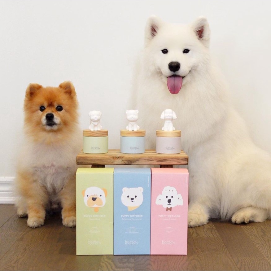 Lọ khuếch tán tinh dầu thơm để bàn RoundARound Puppy diffuser