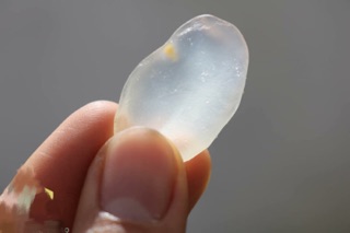 Thốt nốt tươi sấy dẻo không đường