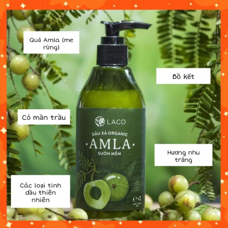 Dầu xả Organic Amla 300ml - Gao Beautiful