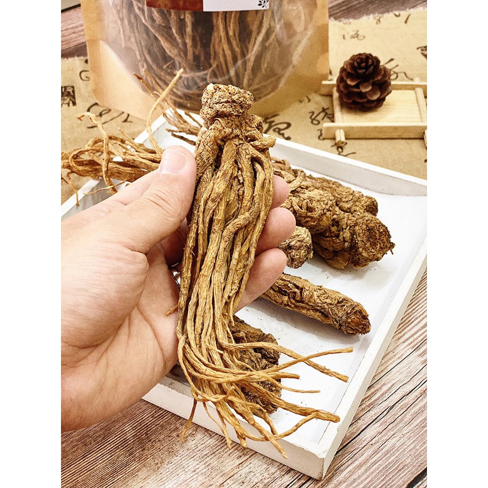 Đương Quy - Quy Đầu - Loại Nguyên Củ