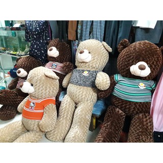 Gấu bông Teddy 2M