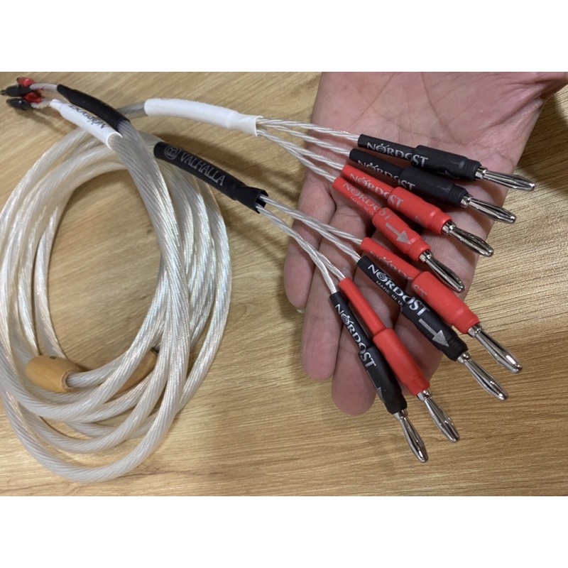 Dây loa bi-wire