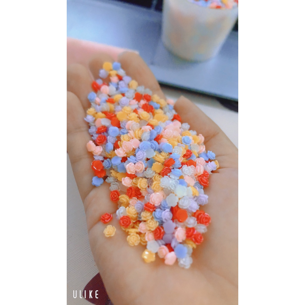 20 Hoa Hồng Mix Size