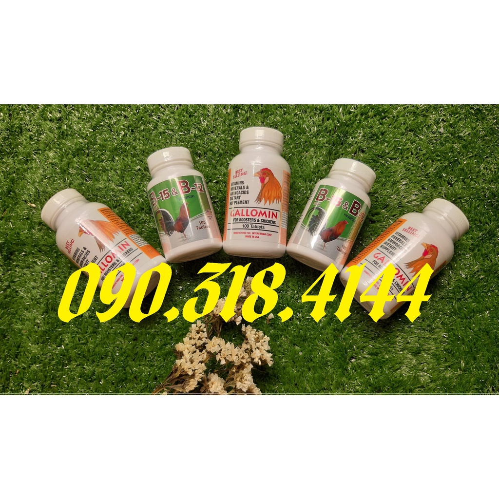 Bộ đôi Vitamin B15&B12 + GALLOMIN (LẺ - Mỗi lọ 50v)