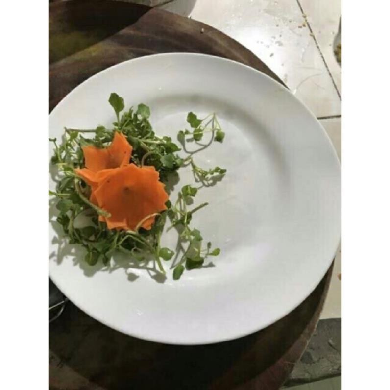 [KHO SỈ] Dụng cụ xoáy hoa cà rốt