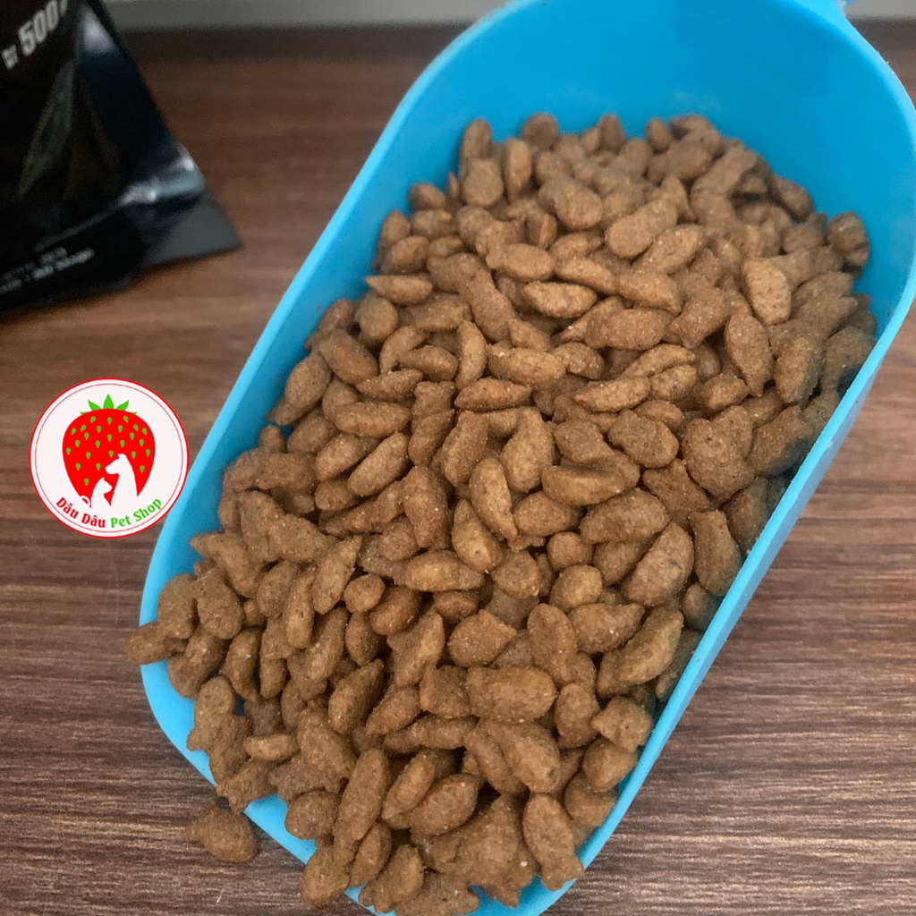 [Có sẵn] Thức ăn cho mèo Cateye 1kg