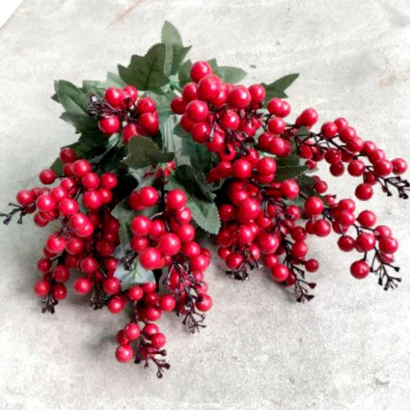 Sơri chùm 7 nhánh ( để Free ship CHAT ngay với người bán)