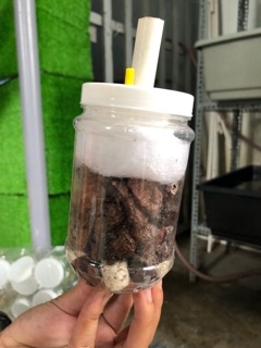 Lọc Vi Sinh Lớn Giá Rẻ