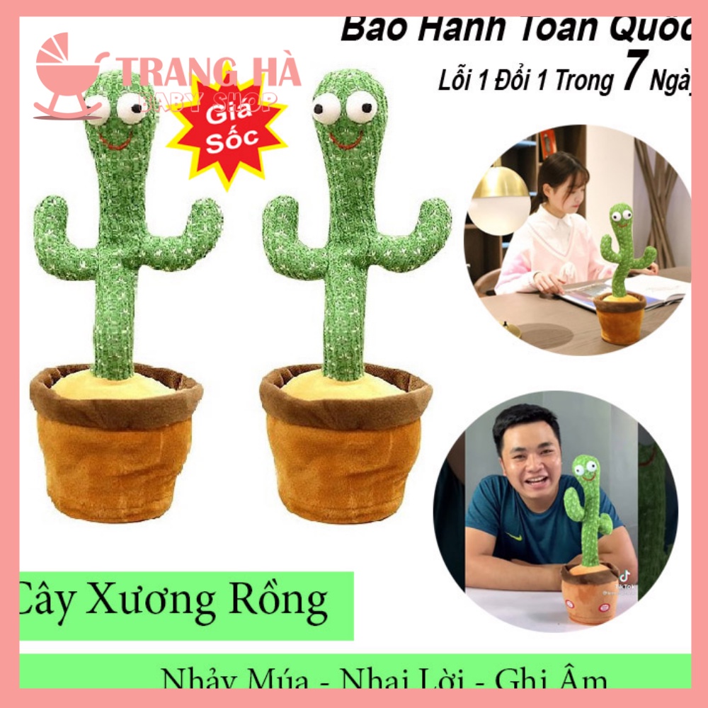 Cây Xương Rồng Nhảy Múa Sạc Điện USB, Nhại Giọng Nói, Hát 120 Bài Nhạc Vui NHộn