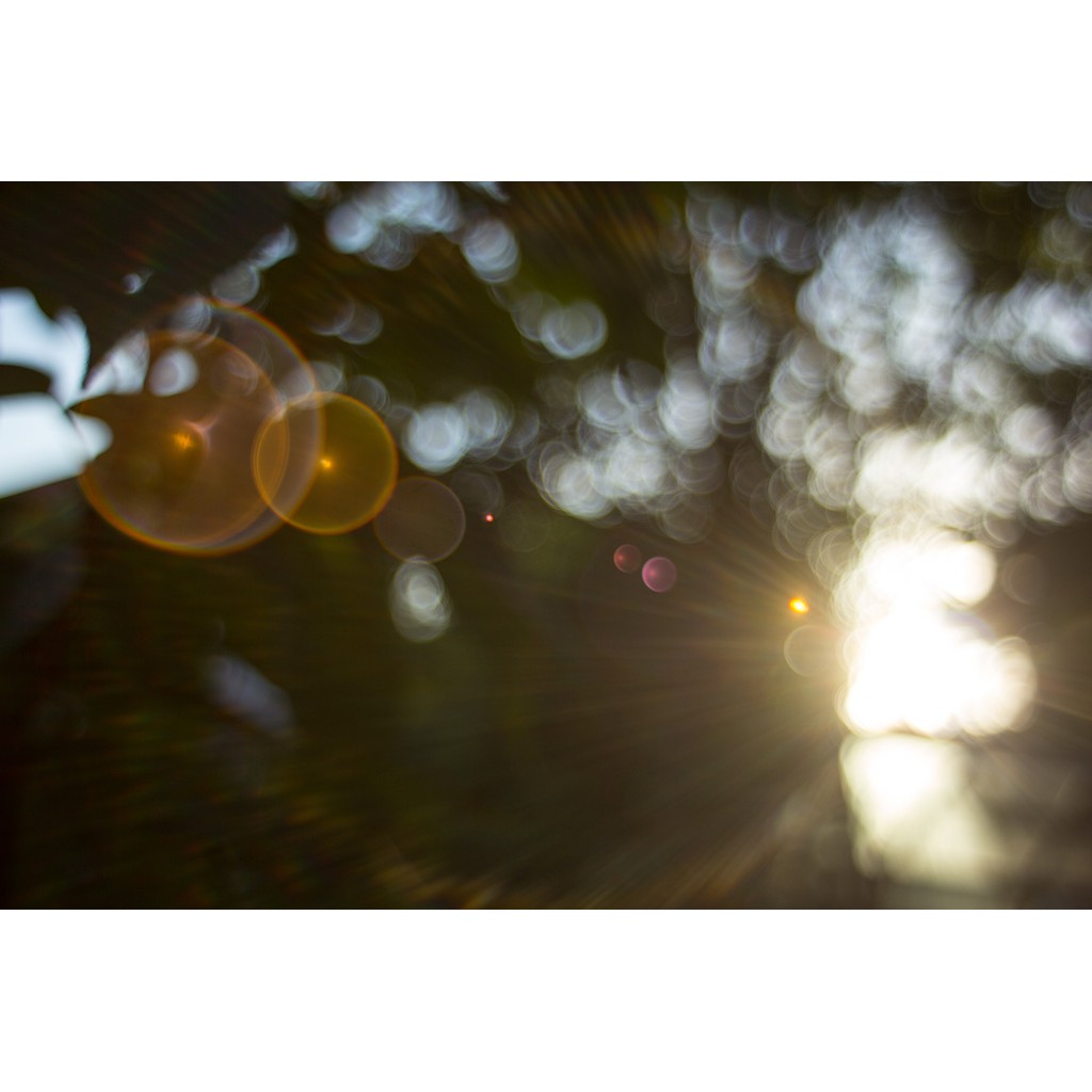 Lens SMC Takumar 55f1.8 đời 3, ngàm m42
