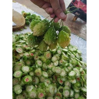 Trái mướp đắng rừng khô (1kg)