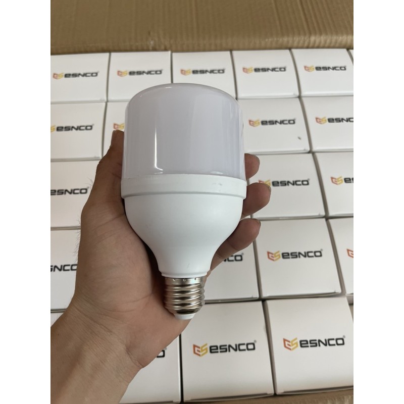 Bóng búp tròn 20W hàng chuẩn công suất | BigBuy360 - bigbuy360.vn