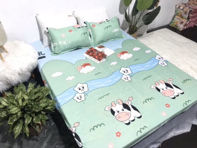 Bộ Ga Gối Cotton Poly Bò Xanh