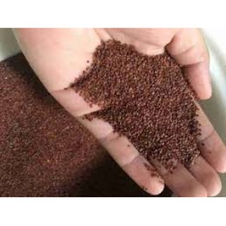 Combo 1kg ngũ hoa xay vỡ đắp mặt cực hiệu quả