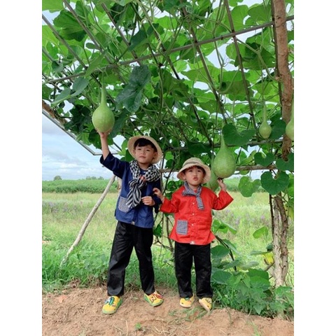 Đồ Bộ Bà Ba Cho Bé Trai Bé Gái, Cotton Hàn Quốc 100%.  Hỏa Tốc, Nhanh