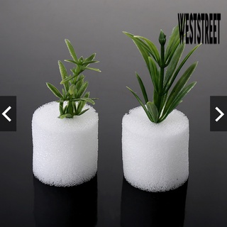 10 viên mút xốp ươm hạt trồng thủy canh