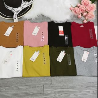 Combo 3 áo len tăm cộc tay