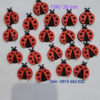 Bọ cánh cam