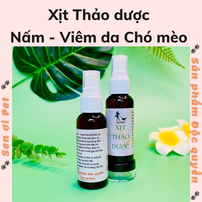 Xịt trị nấm, viêm da, ghẻ chó mèo từ Thảo dược