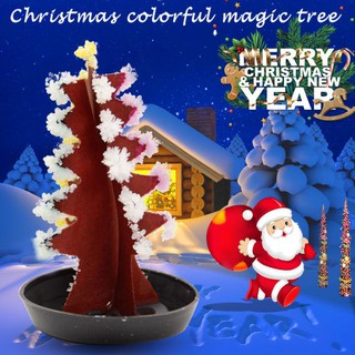 Thông Noel Thần Kì - Combo 2 sp