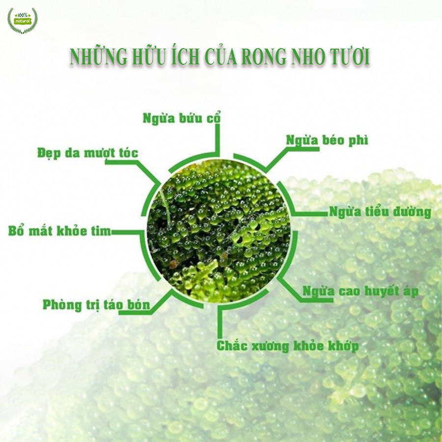 [CHÍNH HÃNG] Rong Nho Tách Nước YUKIBUDO  - Hộp 150g (6gói) - Tặng 2 gói sốt mè rang Siêu ngon | BigBuy360 - bigbuy360.vn