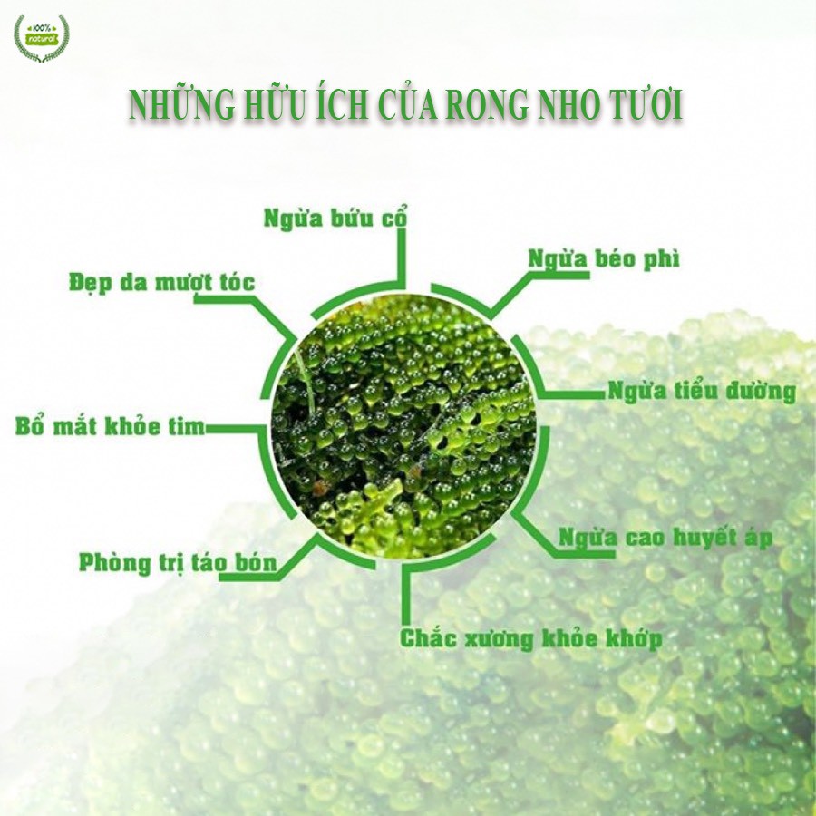 [CHÍNH HÃNG] Rong Nho Tách Nước YUKIBUDO  - Hộp 150g (6gói) - Tặng 2 gói sốt mè rang Siêu ngon