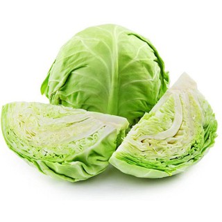Hạt giống bắp cải