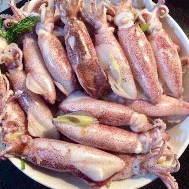 Mực nháy Cửa Lò hấp thuyền ngon