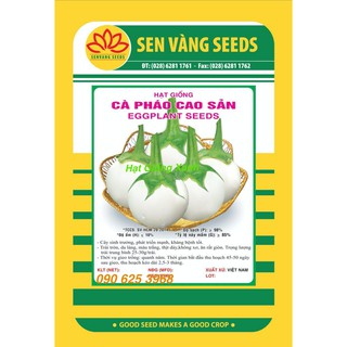1g hạt giống cà pháo trắng cao sản năng suất chịu nhiệt