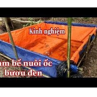 Bể bạt nuôi cá , nuôi ốc , nuôi ếch , nuôi tôm : 4 × 2 x 1
