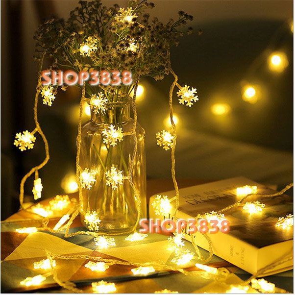 Lựa Nguồn( Pin- USB- Điện)Dây Đèn Led Bông Tuyết Dài 6M - 40 Bóng | BigBuy360 - bigbuy360.vn