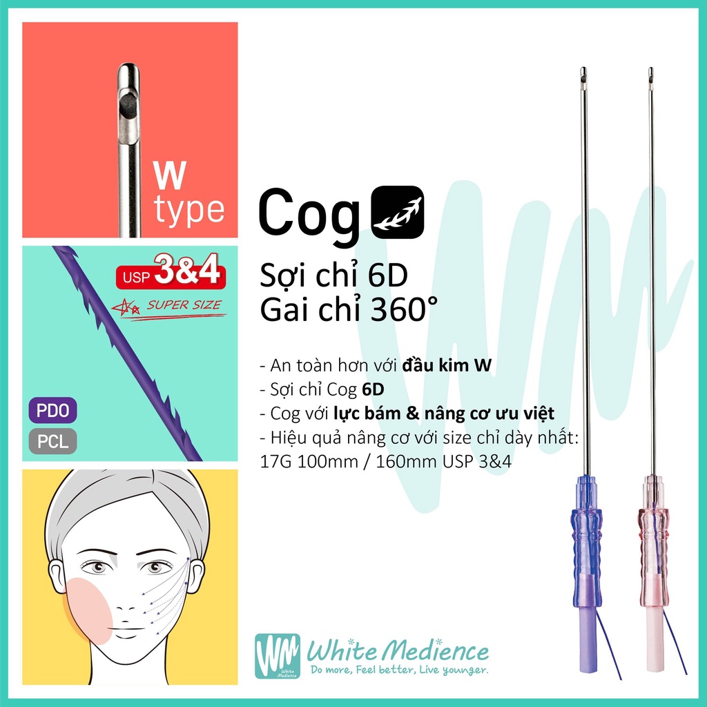 CHỈ WE-COG  1 BỊCH 12 SỢI