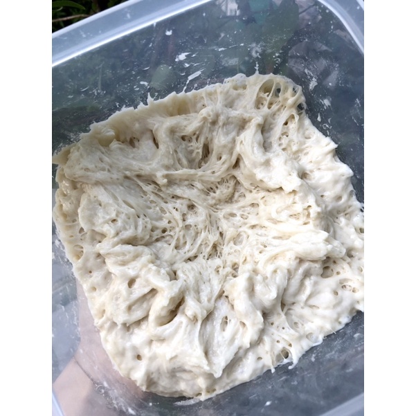 Con giống men sourdough làm bánh mì men tự nhiên_ TẶNG CÔNG THỨC BÁNH- Bột mì số 13 Mezan