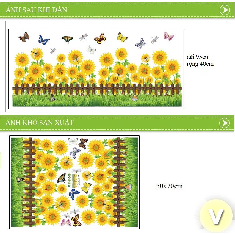 Decal dán tường chân tường hoa hướng dương
