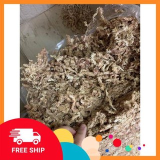 100gr Rêu Sâu Chi Lê (Hay Còn Gọi Là Dớn Chi Lê ) - Rêu Trồng Lan Cao Cấp