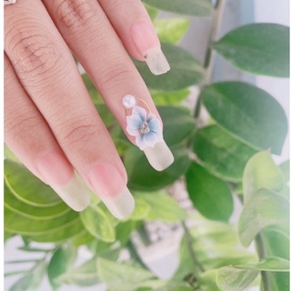 hoa bột-hia nails( mai cham )