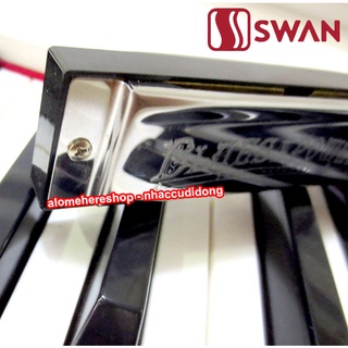 Kèn Harmonica Swan Blues Power SW1020H Key C