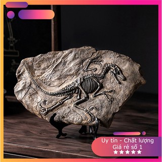 Decor Trang Trí Hóa Thạch Khủng Long kiểu Mỹ