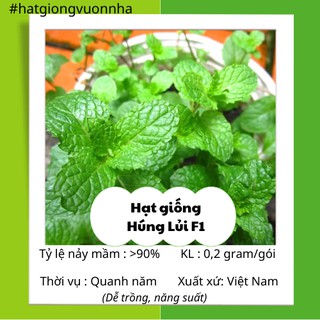 Hạt giống húng lủi rado - gói 0.2 gram