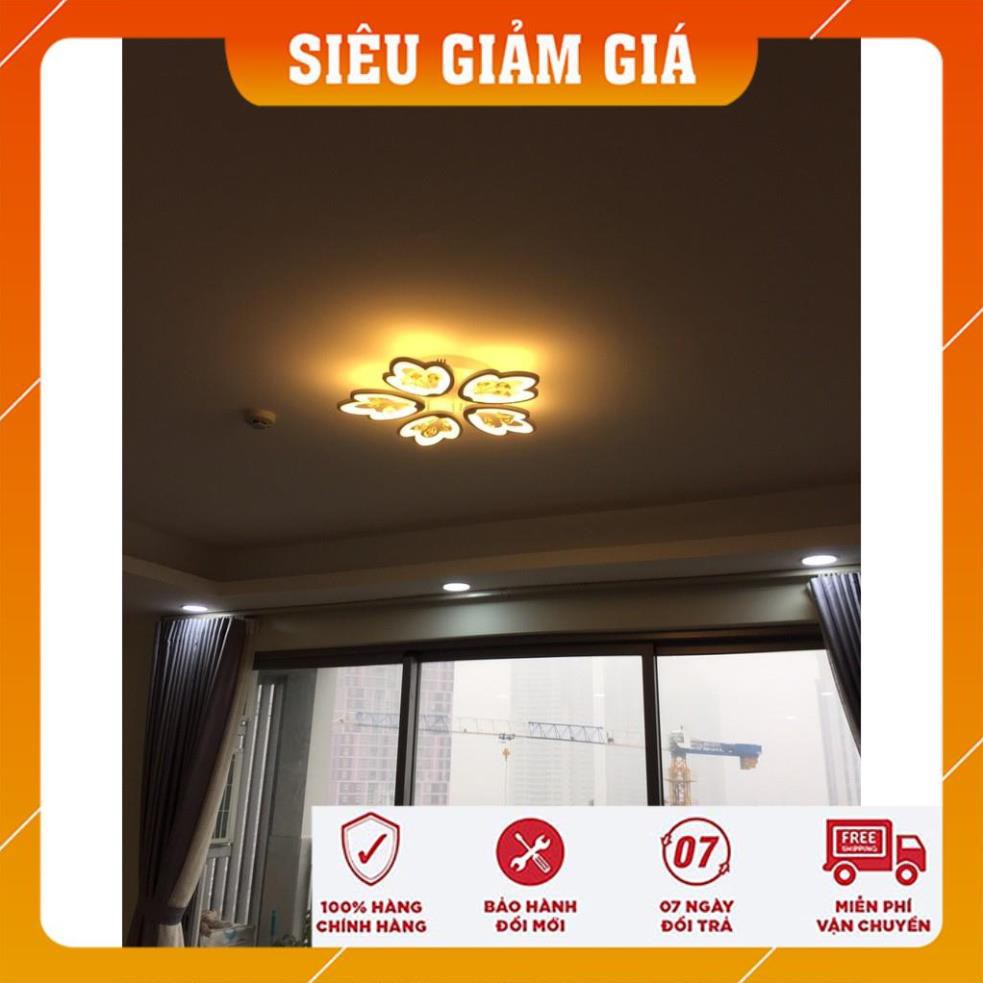 Đèn Ốp Trần - Đèn LED Ốp Trần - Mâm Ốp Trần 5 Cánh Hoa Mai V34