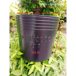 Chậu nhựa đen C7 Bít Lỗ