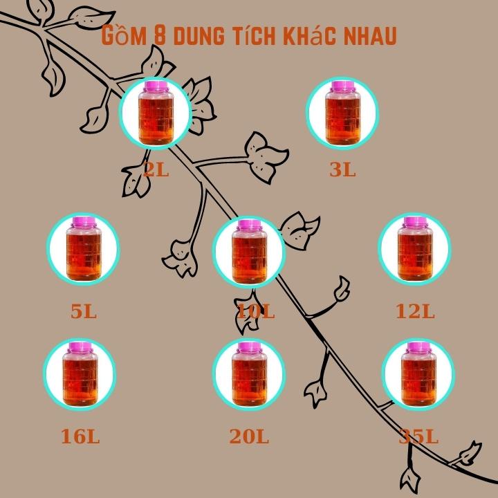 Bình thủy tinh ngâm rượu nắp nhựa màu tím có quai &amp; nắp đậy kín 2-3-5-10-12-16-20-35L ngâm các loại [RẺ VÔ ĐỊCH]