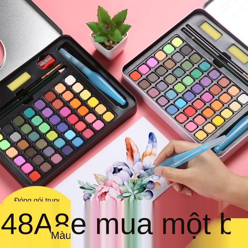 ❍▨▤Giorgione solid watercolor paint cho người mới bắt đầu vẽ tranh nghệ thuật chuyên nghiệp Bộ công cụ pha chế bột màu t