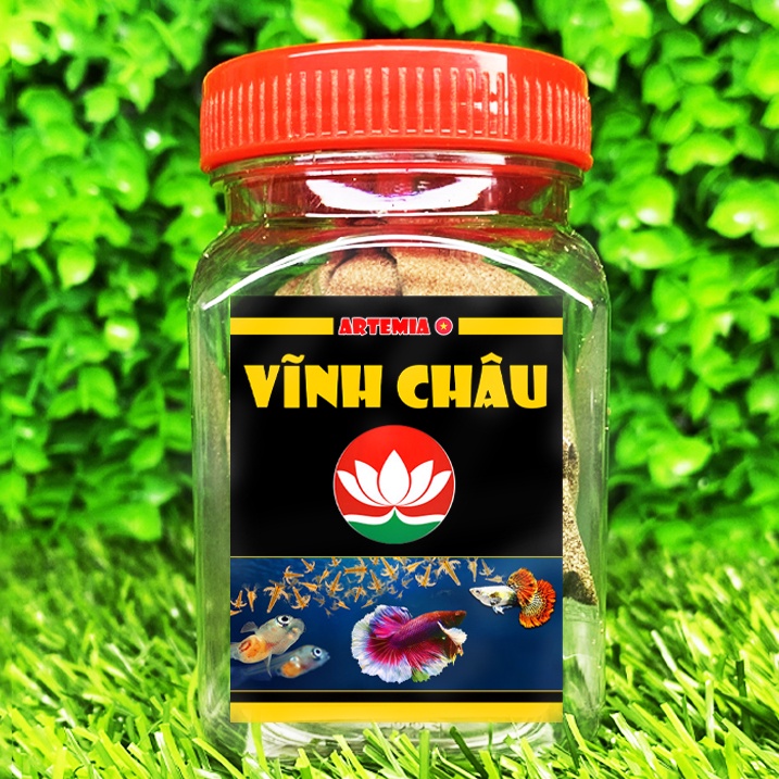 Artemia Vĩnh Châu VN - Thức ăn cá nhỏ mới đẻ