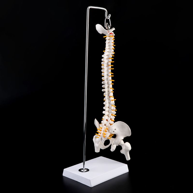 Mô Hình Cột Xoay Linh Hoạt 45cm