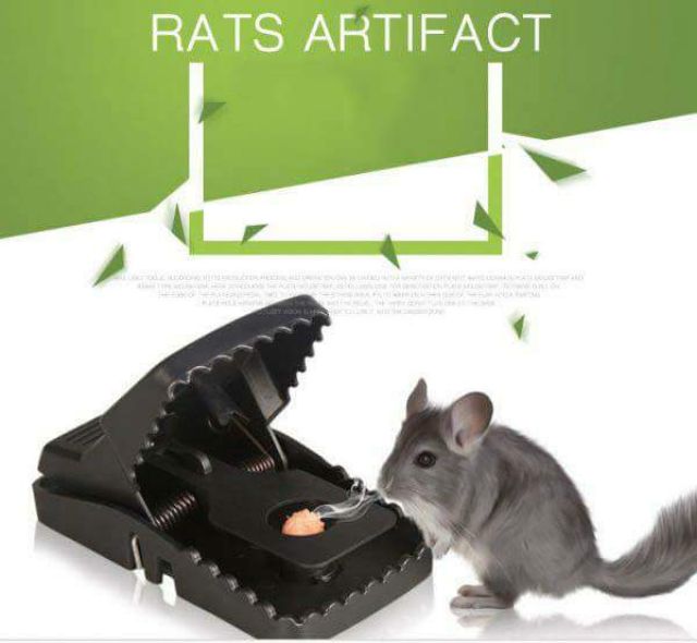 Kẹp bẫy chuột siêu nhạy