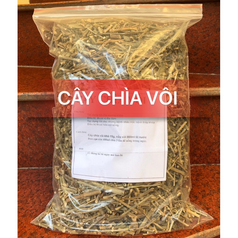 1kg Cây chìa vôi khô trị xương khớp, thoát vị đĩa đệm GT089