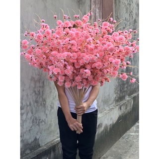 a đào râu đẹp combo 10 cành